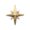 golden-star