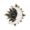 sun-moon